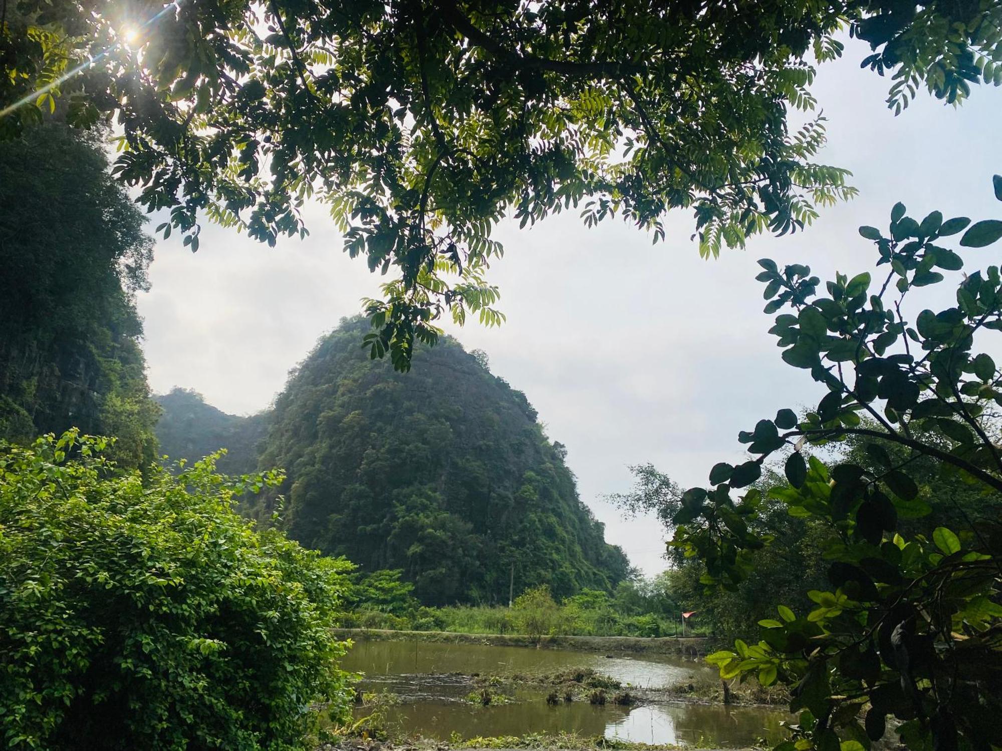 Tamcoc Viet Tan Homestay & Garden نينه بينه المظهر الخارجي الصورة