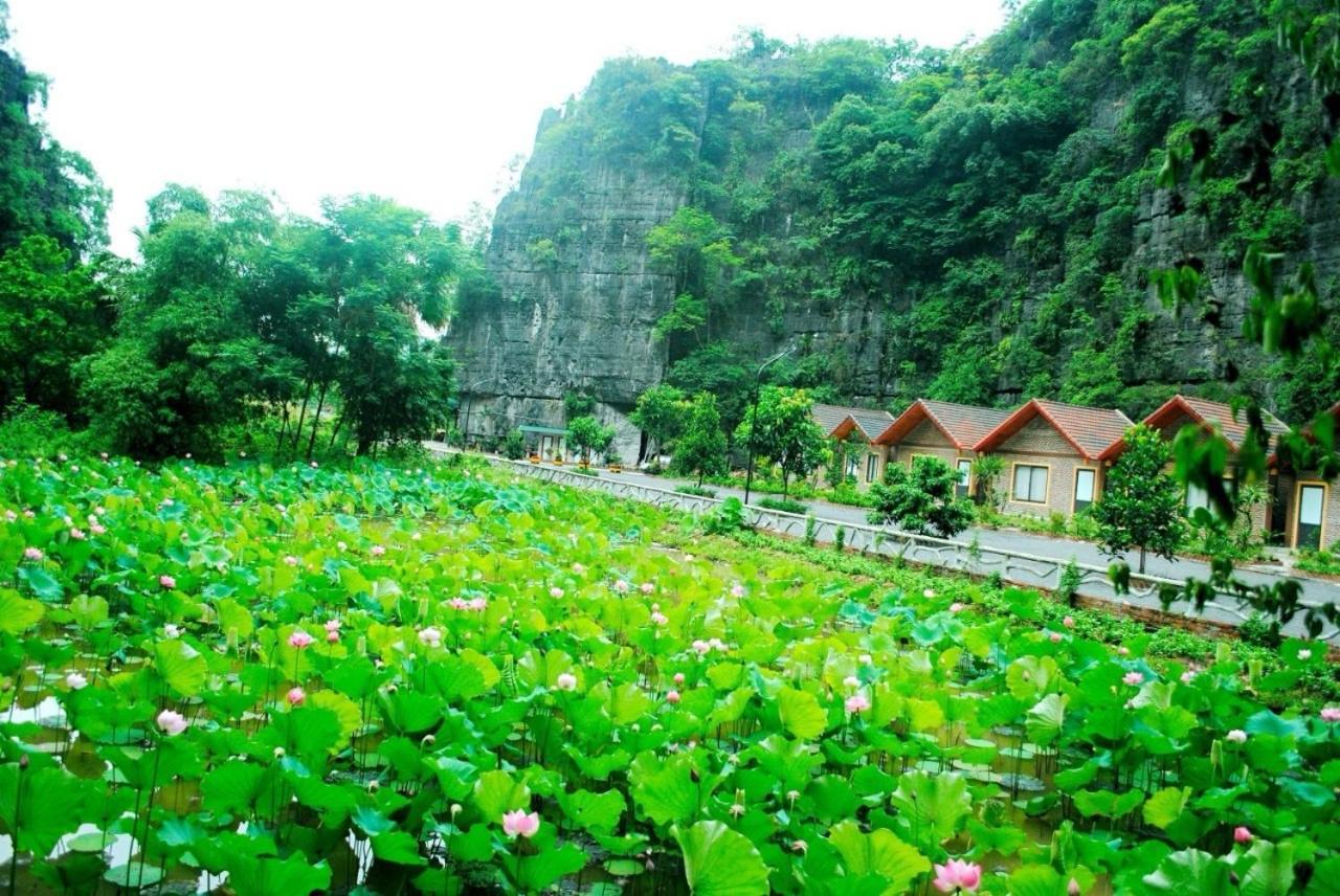 Tamcoc Viet Tan Homestay & Garden نينه بينه المظهر الخارجي الصورة